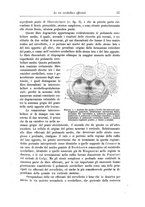 giornale/CFI0298588/1901/unico/00000071