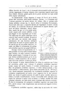 giornale/CFI0298588/1901/unico/00000073