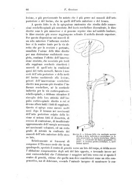 Rivista di patologia nervosa e mentale