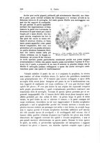 giornale/CFI0298588/1901/unico/00000390