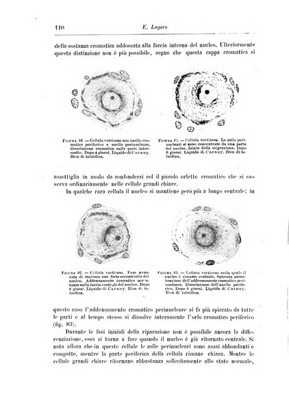 Rivista di patologia nervosa e mentale