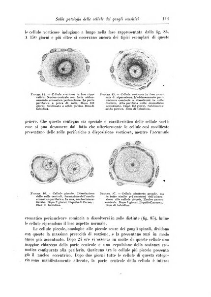 Rivista di patologia nervosa e mentale