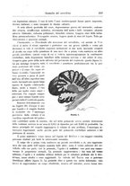 giornale/CFI0298588/1902/unico/00000273