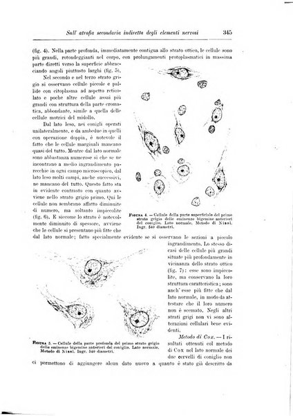 Rivista di patologia nervosa e mentale