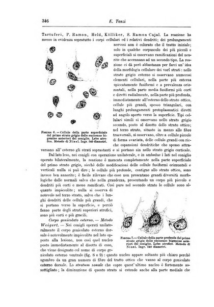 Rivista di patologia nervosa e mentale