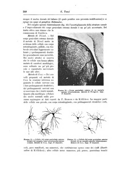 Rivista di patologia nervosa e mentale