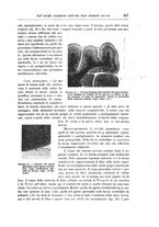 giornale/CFI0298588/1902/unico/00000395