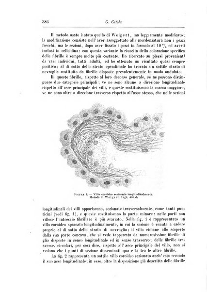 Rivista di patologia nervosa e mentale