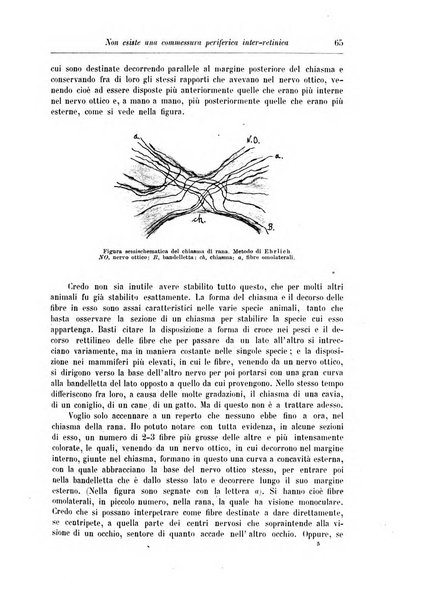 Rivista di patologia nervosa e mentale