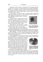 giornale/CFI0298588/1903/unico/00000230