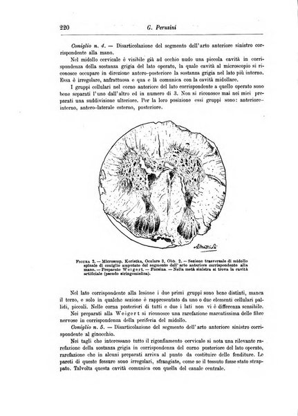 Rivista di patologia nervosa e mentale