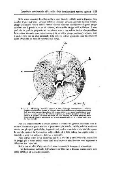 Rivista di patologia nervosa e mentale