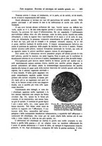 giornale/CFI0298588/1903/unico/00000515