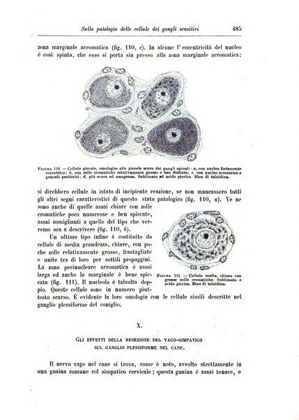 Rivista di patologia nervosa e mentale