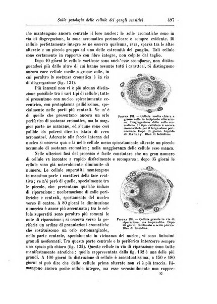 Rivista di patologia nervosa e mentale