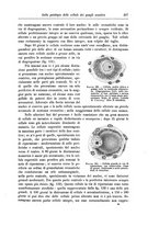 giornale/CFI0298588/1903/unico/00000551