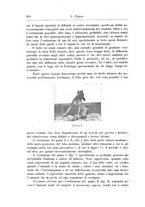 giornale/CFI0298588/1904/unico/00000240