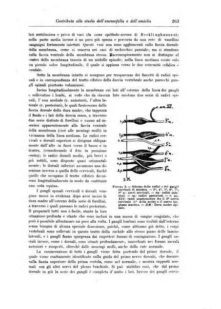 Rivista di patologia nervosa e mentale