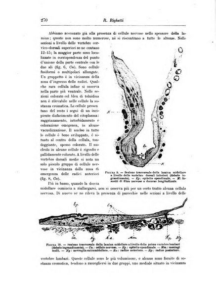 Rivista di patologia nervosa e mentale