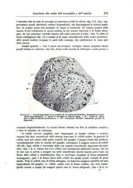 Rivista di patologia nervosa e mentale