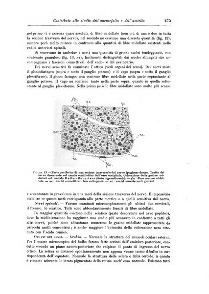 Rivista di patologia nervosa e mentale