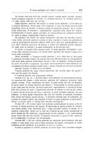 giornale/CFI0298588/1904/unico/00000515