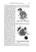 giornale/CFI0298588/1905/unico/00000087