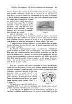 giornale/CFI0298588/1905/unico/00000345