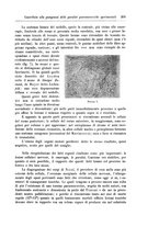 giornale/CFI0298588/1905/unico/00000347