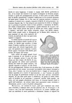 giornale/CFI0298588/1905/unico/00000359