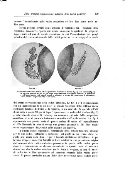 Rivista di patologia nervosa e mentale