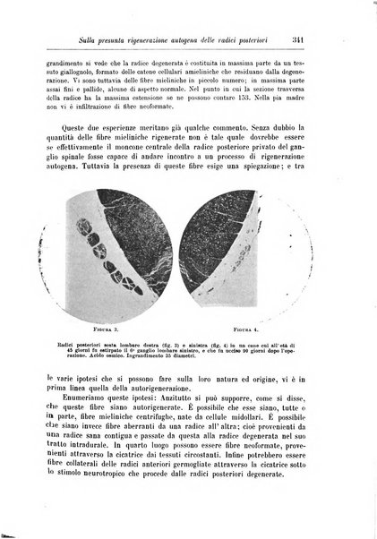 Rivista di patologia nervosa e mentale