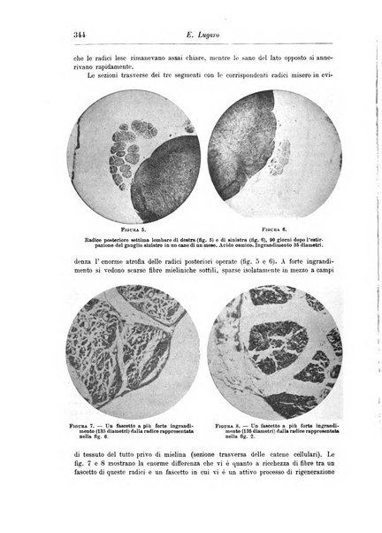 Rivista di patologia nervosa e mentale