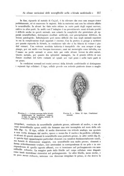 Rivista di patologia nervosa e mentale