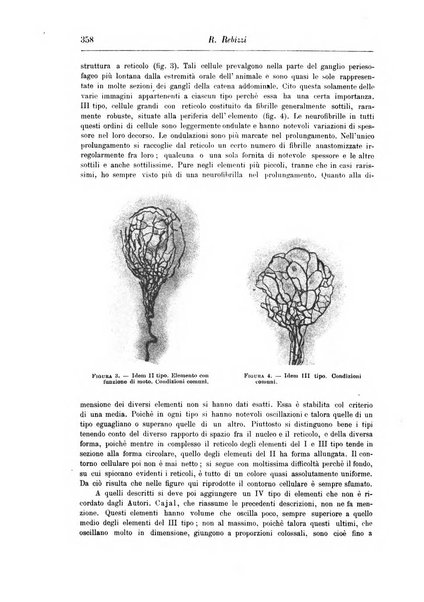 Rivista di patologia nervosa e mentale