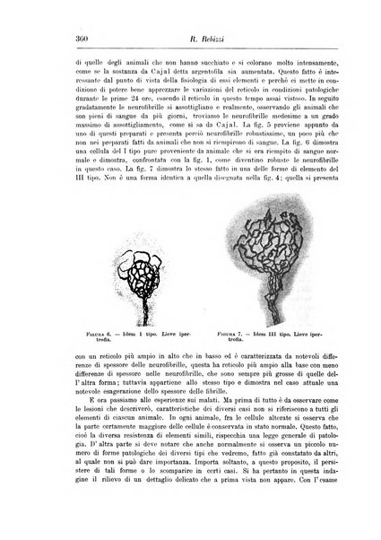 Rivista di patologia nervosa e mentale