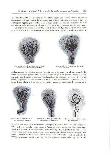 Rivista di patologia nervosa e mentale