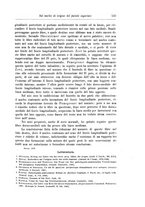 giornale/CFI0298588/1906/unico/00000595