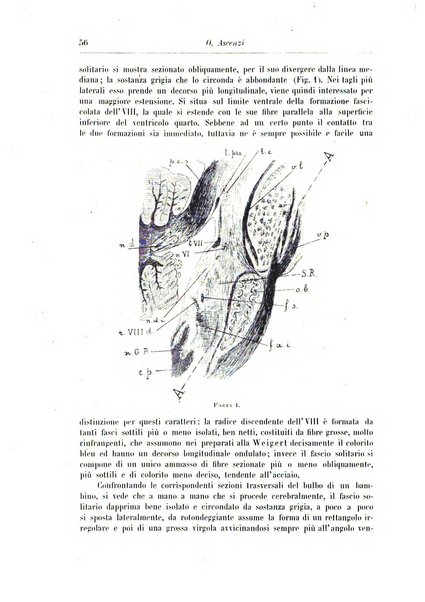 Rivista di patologia nervosa e mentale