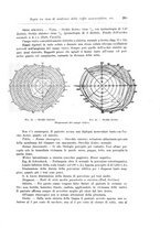 giornale/CFI0298588/1907/unico/00000331