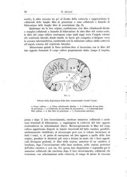 Rivista di patologia nervosa e mentale