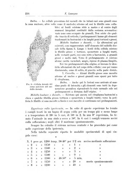 Rivista di patologia nervosa e mentale