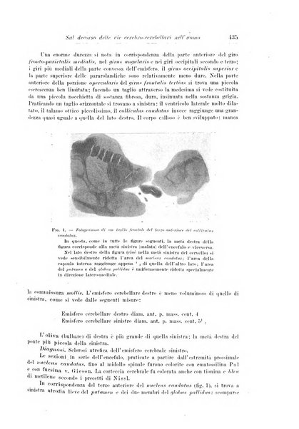 Rivista di patologia nervosa e mentale