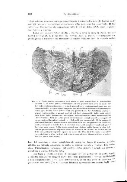 Rivista di patologia nervosa e mentale