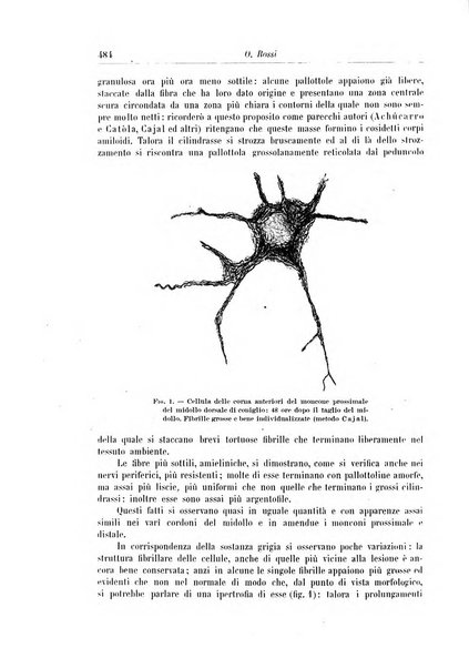 Rivista di patologia nervosa e mentale