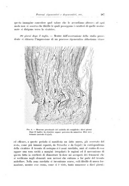 Rivista di patologia nervosa e mentale