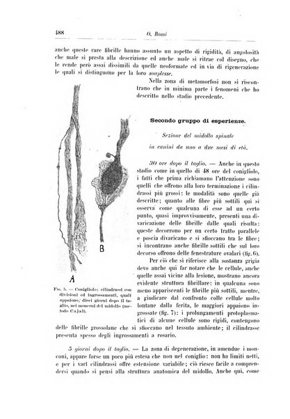 Rivista di patologia nervosa e mentale