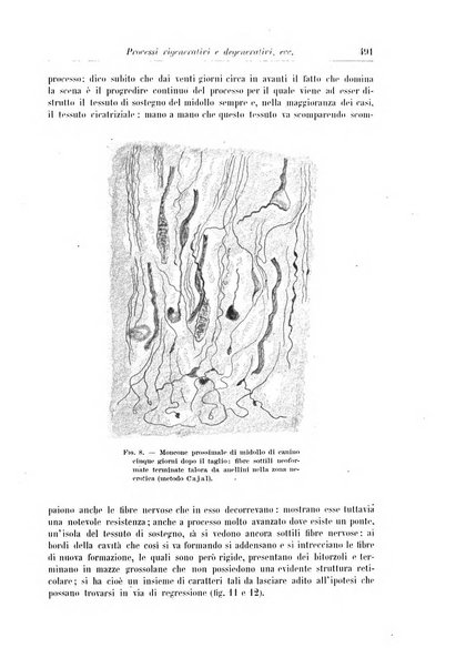 Rivista di patologia nervosa e mentale