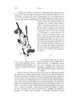 giornale/CFI0298588/1908/unico/00000548