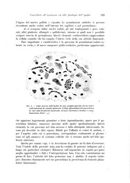 Rivista di patologia nervosa e mentale